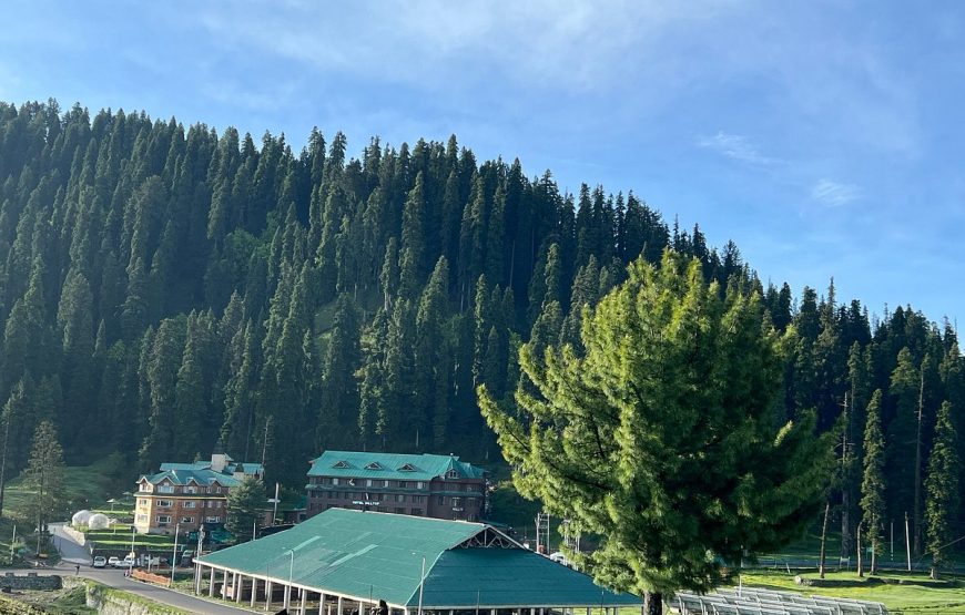 Hotel Hill Top Gulmarg